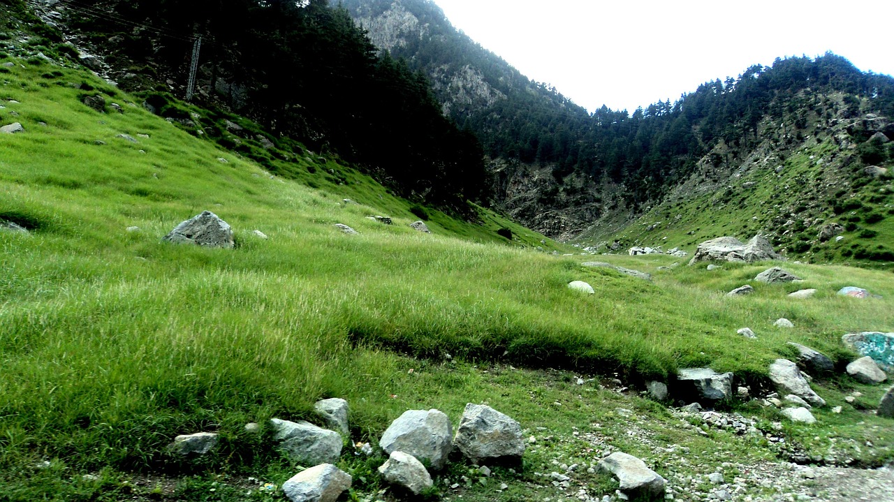 hill, valley, hillside, countryside, rocks, trees, nature, mountains, forest, woods, green, greenery, scenic, outdoors, rural, meadow, grass, field, landscape, pakistan, kalam, environment, green forest, green landscape, green mountain, green rock, green field, hillside, hillside, hillside, hillside, pakistan, pakistan, pakistan, pakistan, pakistan, kalam, kalam